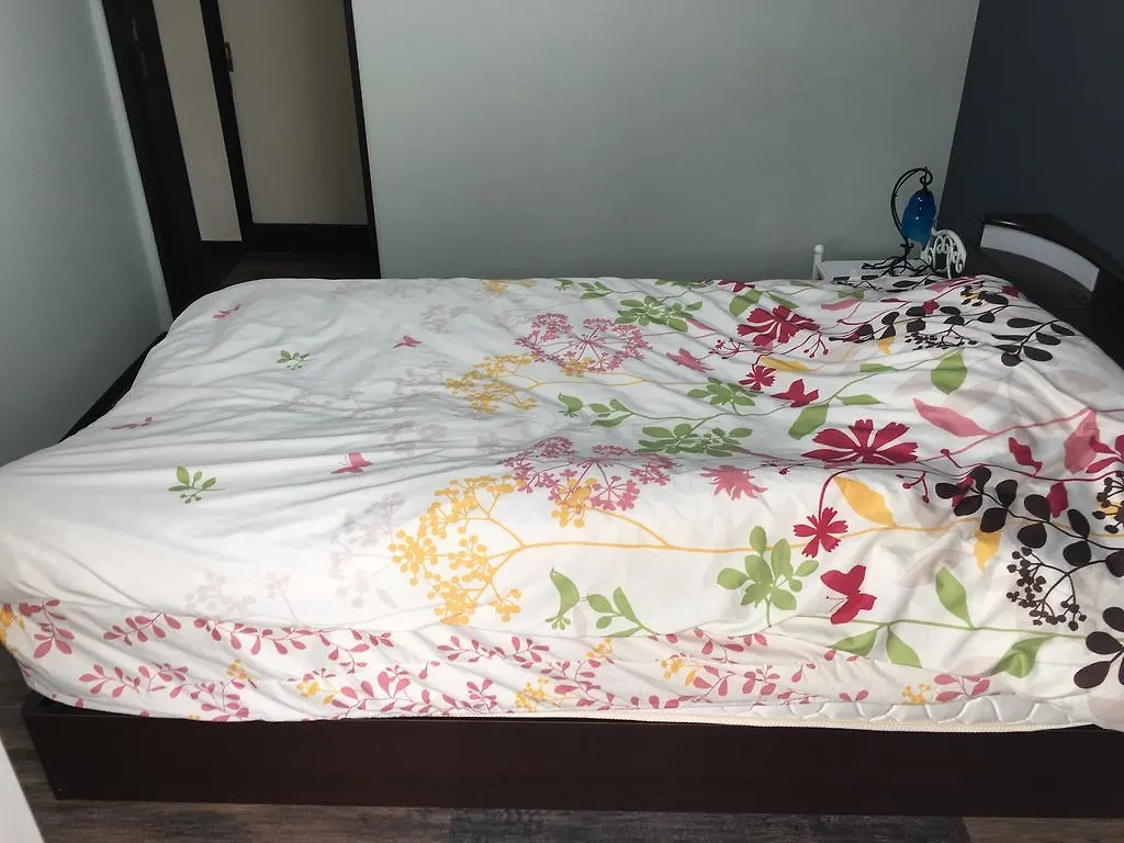 Communityhouse Jingunomori Okazaki Hotel Kyoto 2*,  Japan